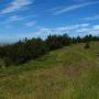 Towards the trail summit where you get good views of the spit and Drakes Bay.